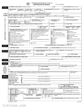 Fill Out a Valid Tn Death Certificate Example Form